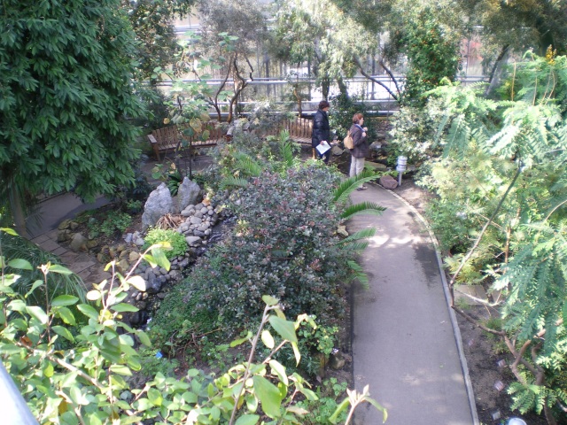 Hortus Botanicus tropical greenhouse, Amsterdam